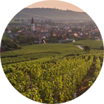 FREYBURGER winery in Ammerschwihr
