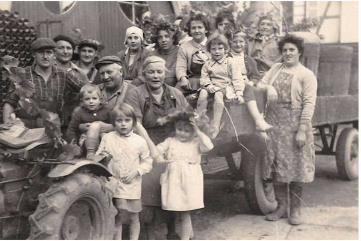 Domaine Freyburger - Vins d’Alsace Bio - Ammerschwihr - Oenotourisme Alsace Colmar