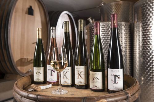Domaine Freyburger - Vins d’Alsace Bio - Ammerschwihr - Oenotourisme Alsace Colmar