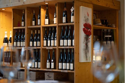 Domaine Freyburger - Vins d’Alsace Bio - Ammerschwihr - Oenotourisme Alsace Colmar